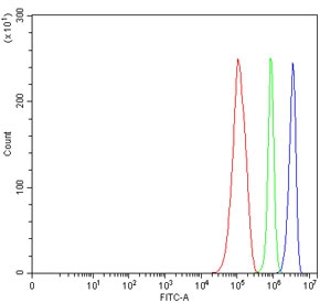 Flow cytometry testing of human RT4 cells with Epoxide hydrolase antibody at 1ug/million cells (blocked with goat sera); Red=cells alone, Green=isotype control, Blue= Epoxide hydrolase antibody.
