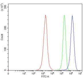 HBEGF Antibody Jurkat FACS. Flow cytometry analysis of fixed human Jurkat cells stained with HBEGF antibody detecting Heparin-binding EGF-like growth factor (DT-R). The antibody signal (blue) shows a clear rightward shift compared to cells alone (red) and isotype control (green), indicating positive detection of HBEGF. This profile is consistent with HBEGF as a cell surface-associated receptor capable of mediating diphtheria toxin binding and internalization, as well as functioning as an EGFR ligand in signaling pathways.