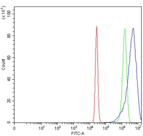 Flow cytometry testing of fixed and permeabilized human U-2 OS cells with Inosine-5'-monophosphate dehydrogenase 2 antibody at 1ug/million cells (blocked with goat sera); Red=cells alone, Green=isotype control, Blue= Inosine-5'-monophosphate dehydrogenase 2 antibody.