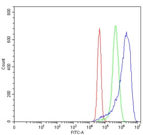 Flow cytometry testing of human MCF7 cells with MAT2A antibody at 1ug/million cells (blocked with goat sera); Red=cells alone, Green=isotype control, Blue= MAT2A antibody.
