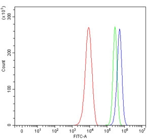 Flow cytometry testing of mouse RAW264.7 cells with Adgrg1 antibody at 1ug/million cells (blocked with goat sera); Red=cells alone, Green=isotype control, Blue= Adgrg1 antibody.