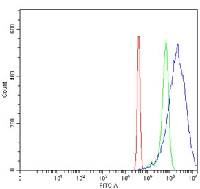 DOCK4 Antibody SiHa Flow Cytometry. Flow cytometric analysis of human SiHa cells using DOCK4 antibody demonstrates a clear rightward shift of the blue histogram (DOCK4 antibody) relative to the green histogram (isotype control) and red histogram (cells alone), consistent with expression of Dedicator of Cytokinesis 4 (DOCK4). DOCK4 is a cell migration protein that regulates Rac-family GTPase signaling pathways involved in cytoskeletal organization, cell adhesion, and directed cellular movement. The observed staining pattern supports detection of endogenous DOCK4 expression and demonstrates the utility of this antibody for studies of cellular motility, cytoskeletal regulation, tissue morphogenesis, and signaling pathways governing cell-cell interactions. Cells were stained with 1 ug antibody per million cells following blocking with goat sera.