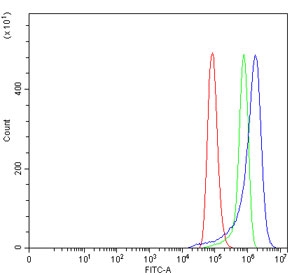 Flow cytometry testing of human HeLa cells with B3GNT2 antibody at 1ug/million cells (blocked with goat sera); Red=cells alone, Green=isotype control, Blue= B3GNT2 antibody.