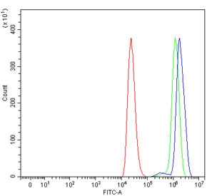 Flow cytometry testing of human ThP-1 cells with B3GNT2 antibody at 1ug/million cells (blocked with goat sera); Red=cells alone, Green=isotype control, Blue= B3GNT2 antibody.