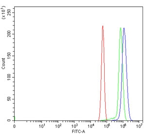 Flow cytometry testing of rat RH35 cells with HOXC4 antibody at 1ug/million cells (blocked with goat sera); Red=cells alone, Green=isotype control, Blue= HOXC4 antibody.