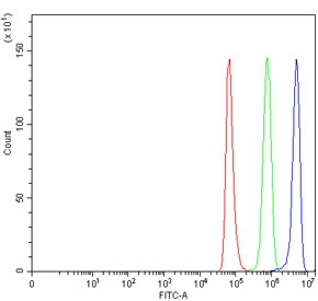 Flow cytometry testing of rat NRK cells with SEPT5 antibody at 1ug/million cells (blocked with goat sera); Red=cells alone, Green=isotype control, Blue= SEPT5 antibody.