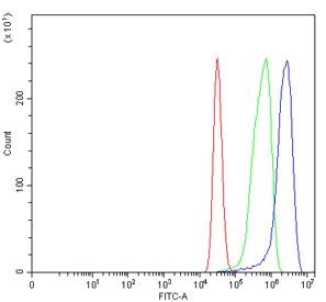 Flow cytometry testing of human MCF7 cells with NDP52 antibody at 1ug/million cells (blocked with goat sera); Red=cells alone, Green=isotype control, Blue= NDP52 antibody.