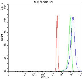 Flow cytometry testing of fixed and permeabilized human HeLa cells with ADRA2A antibody at 1ug/million cells (blocked with goat sera); Red=cells alone, Green=isotype control, Blue= ADRA2A antibody.