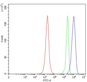 Flow cytometry testing of human Jurkat cells with Sirtuin 5 antibody at 1ug/million cells (blocked with goat sera); Red=cells alone, Green=isotype control, Blue= Sirtuin 5 antibody.