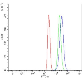 Flow cytometry testing of human HL60 cells with Sirtuin 5 antibody at 1ug/million cells (blocked with goat sera); Red=cells alone, Green=isotype control, Blue= Sirtuin 5 antibody.