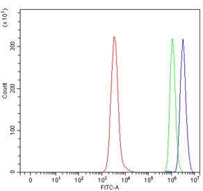 Flow cytometry testing of fixed and permeabilized human Daudi cells with UBE2N antibody at 1ug/million cells (blocked with goat sera); Red=cells alone, Green=isotype control, Blue= UBE2N antibody.