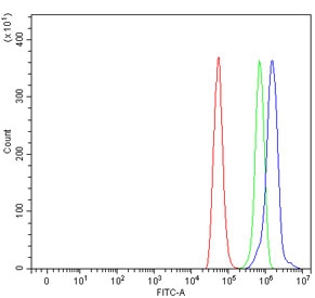 Flow cytometry testing of rat NRK cells with WNT10B antibody at 1ug/million cells (blocked with goat sera); Red=cells alone, Green=isotype control, Blue= WNT10B antibody.