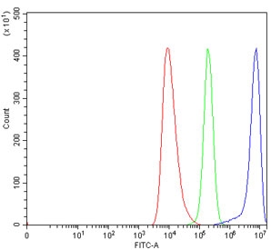 INF2 Antibody HEL Cell FACS. Flow cytometry testing of human HEL cells with INF2 Antibody at 1 ug/million cells. Cells were blocked with goat serum prior to incubation with the primary antibody. Red histogram represents cells alone, green represents isotype control and blue represents INF2 antibody staining. INF2 Antibody / Actin Regulation Protein Antibody demonstrates positive detection of Inverted Formin 2 expression in HEL cells and supports studies of actin cytoskeleton remodeling, intracellular organization and cell structure regulation pathways.