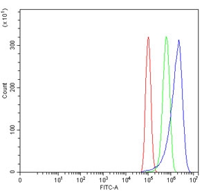 Flow cytometry testing of human PC-3 cells with ZNRF3 antibody at 1ug/million cells (blocked with goat sera); Red=cells alone, Green=isotype control, Blue= ZNRF3 antibody.