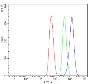 Flow cytometry testing of human U-87 MG cells with SAV1 antibody at 1ug/million cells (blocked with goat sera); Red=cells alone, Green=isotype control, Blue= SAV1 antibody.