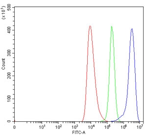 SERBP1 Antibody HEL FACS. Flow cytometry testing of human HEL cells with SERBP1 antibody at 1ug/million cells (blocked with goat sera); Red=cells alone, Green=isotype control, Blue= SERBP1 antibody.