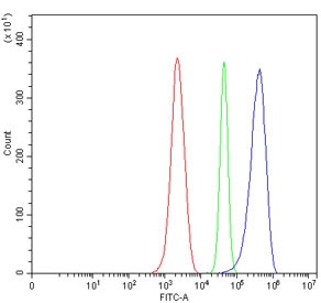 SERBP1 Antibody Mouse ANA-1 FACS. Flow cytometry testing of mouse ANA-1 cells with SERBP1 antibody at 1ug/million cells (blocked with goat sera); Red=cells alone, Green=isotype control, Blue= SERBP1 antibody.