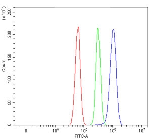 SERBP1 Antibody Rat RH35 FACS. Flow cytometry testing of rat RH35 cells with SERBP1 antibody at 1ug/million cells (blocked with goat sera); Red=cells alone, Green=isotype control, Blue= SERBP1 antibody.