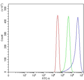 Flow cytometry testing of human SiHa cells with Tripeptidyl-peptidase 2 antibody at 1ug/million cells (blocked with goat sera); Red=cells alone, Green=isotype control, Blue= Tripeptidyl-peptidase 2 antibody.