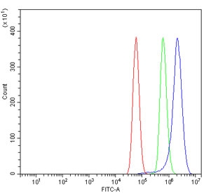 Flow cytometry testing of human U-87 MG cells with CVAK104 antibody at 1ug/million cells (blocked with goat sera); Red=cells alone, Green=isotype control, Blue= CVAK104 antibody.