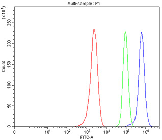 Flow cytometry testing of fixed and permeabilized human MCF7 cells with TDG antibody at 1ug/million cells (blocked with goat sera); Red=cells alone, Green=isotype control, Blue= TDG antibody.