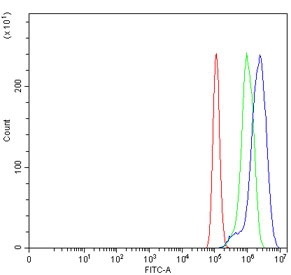 Flow cytometry testing of human PC-3 cells with TIGD1 antibody at 1ug/million cells (blocked with goat sera); Red=cells alone, Green=isotype control, Blue= TIGD1 antibody.