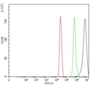 Flow cytometry testing of mouse HEPA1-6 cells with Timd2 antibody at 1ug/million cells (blocked with goat sera); Red=cells alone, Green=isotype control, Blue= Timd2 antibody.