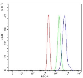 Flow cytometry testing of human HL60 cells with HSD11K antibody at 1ug/million cells (blocked with goat sera); Red=cells alone, Green=isotype control, Blue= HSD11K antibody.
