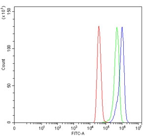 Flow cytometry testing of human MCF7 cells with FERMT2 antibody at 1ug/million cells (blocked with goat sera); Red=cells alone, Green=isotype control, Blue= Kindlin 2 antibody.