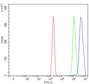 Flow cytometry testing of human U-2 OS cells with SAP130 antibody at 1ug/million cells (blocked with goat sera); Red=cells alone, Green=isotype control, Blue= SAP130 antibody.