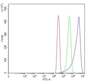 Flow cytometry testing of human SiHa cells with TRAIP antibody at 1ug/million cells (blocked with goat sera); Red=cells alone, Green=isotype control, Blue= TRAIP antibody.