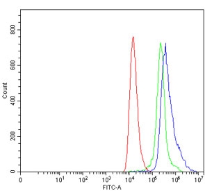 Flow cytometry testing of human HEL cells with TRANK1 antibody at 1ug/million cells (blocked with goat sera); Red=cells alone, Green=isotype control, Blue= TRANK1 antibody.