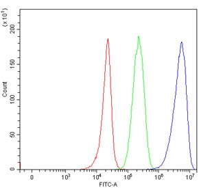 Flow cytometry testing of human 293T cells with TRMT61B antibody at 1ug/million cells (blocked with goat sera); Red=cells alone, Green=isotype control, Blue= TRMT61B antibody.