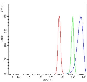 Flow cytometry testing of fixed and permeabilized human U-87 MG cells with PILT antibody at 1ug/million cells (blocked with goat sera); Red=cells alone, Green=isotype control, Blue= PILT antibody.