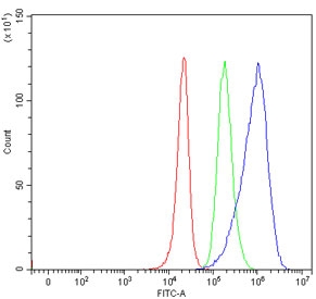 Flow cytometry testing of human 293T cells with TRMT6 antibody at 1ug/million cells (blocked with goat sera); Red=cells alone, Green=isotype control, Blue= TRMT6 antibody.