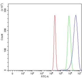Flow cytometry testing of human U-2 OS cells with SAGE1 antibody at 1ug/million cells (blocked with goat sera); Red=cells alone, Green=isotype control, Blue= SAGE1 antibody.