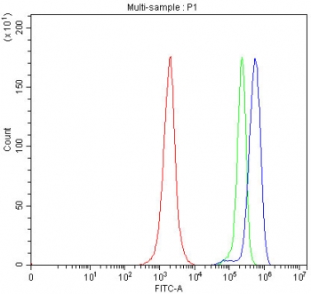 Flow cytometry testing of human JK cells with TOM1L1 antibody at 1ug/million cells (blocked with goat sera); Red=cells alone, Green=isotype control, Blue= TOM1L1 antibody.