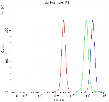 Flow cytometry testing of human 293T cells with SETD3 antibody at 1ug/million cells (blocked with goat sera); Red=cells alone, Green=isotype control, Blue= SETD3 antibody.