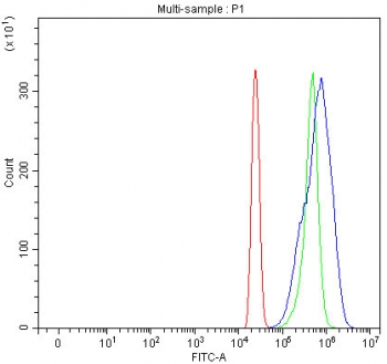 Flow cytometry testing of human HL60 cells with SETD3 antibody at 1ug/million cells (blocked with goat sera); Red=cells alone, Green=isotype control, Blue= SETD3 antibody.