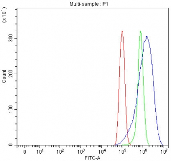 Flow cytometry testing of human PC-3 cells with SGCE antibody at 1ug/million cells (blocked with goat sera); Red=cells alone, Green=isotype control, Blue= SGCE antibody.