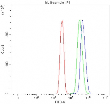 Flow cytometry testing of fixed and permeabilized human SiHa cells with ATF6 antibody at 1ug/million cells (blocked with goat sera); Red=cells alone, Green=isotype control, Blue= ATF6 antibody.
