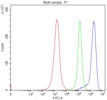 Flow cytometry testing of human Jurkat cells with SERAC1 antibody at 1ug/million cells (blocked with goat sera); Red=cells alone, Green=isotype control, Blue= SERAC1 antibody.