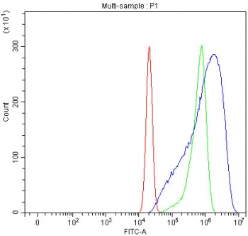 Flow cytometry testing of human U-2 OS cells with SERAC1 antibody at 1ug/million cells (blocked with goat sera); Red=cells alone, Green=isotype control, Blue= SERAC1 antibody.