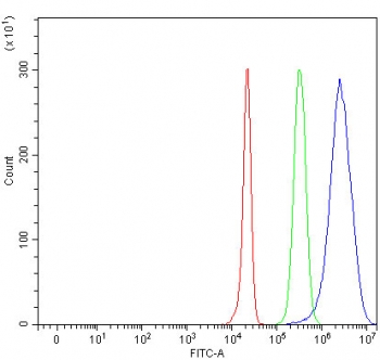 Alpha-1-Antichymotrypsin Antibody FACS. Flow cytometry testing of human HepG2 cells with Alpha-1-Antichymotrypsin antibody at 1ug/million cells (blocked with goat sera); Red=cells alone, Green=isotype control, Blue= Alpha-1-Antichymotrypsin antibody.