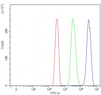 Flow cytometry testing of human SiHa cells with SF3a60 antibody at 1ug/million cells (blocked with goat sera); Red=cells alone, Green=isotype control, Blue= SF3a60 antibody.