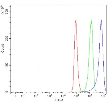 Flow cytometry testing of human A549 cells with ANXA1 antibody at 1ug/million cells (blocked with goat sera); Red=cells alone, Green=isotype control, Blue= ANXA1 antibody.