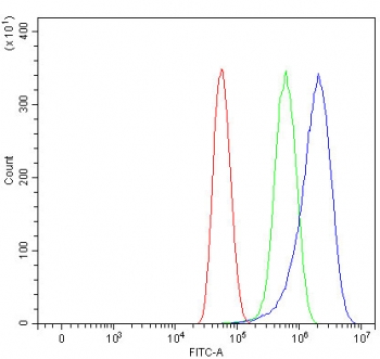 CD105 Antibody U-87 MG FACS. Flow cytometry analysis of human U-87 MG cells using CD105 Antibody shows a clear rightward shift in fluorescence intensity compared to cells alone and isotype control, indicating CD105 / Endoglin expression on the cell surface, consistent with its role as an endothelial-associated marker and angiogenesis-related protein.