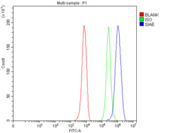 Flow cytometry testing of fixed and permeabilized human HepG2 cells with SIAE antibody at 1ug/million cells (blocked with goat sera); Red=cells alone, Green=isotype control, Blue= SIAE antibody.