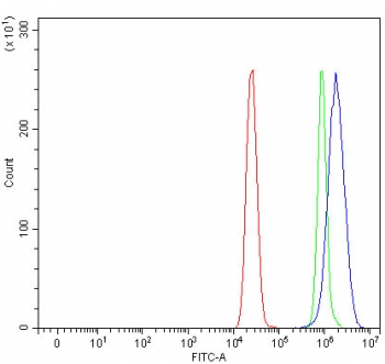CHGA Antibody for FACS Human MCF7 Cells. Flow cytometry analysis of Chromogranin A / CHGA expression in human MCF7 cells using CHGA Antibody for FACS at 1 ug per million cells (blue) compared to isotype control (green) and unstained cells (red). The CHGA Antibody for FACS demonstrates a clear right-shifted population relative to controls, supporting detection of CHGA-positive cells. This flow cytometry antibody enables reliable identification of CHGA expression in cell-based assays.