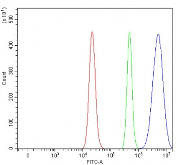 Flow cytometry testing of human RT4 cells with RAD51C antibody at 1ug/million cells (blocked with goat sera); Red=cells alone, Green=isotype control, Blue= RAD51C antibody.